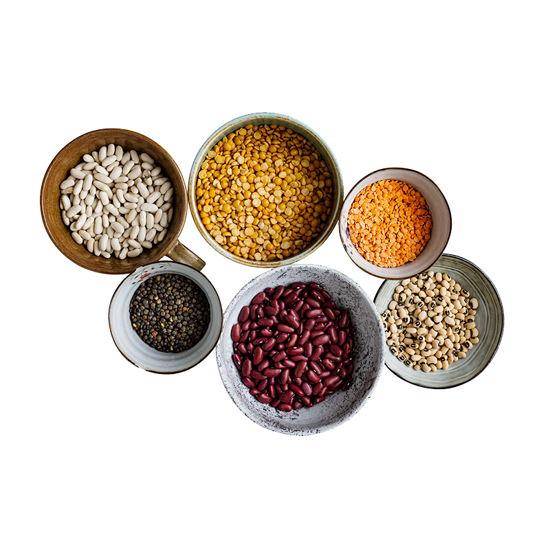Culinary Grains and Pulses