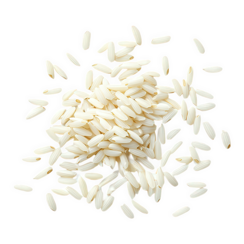 Polished Basmati Rice Grains